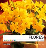 FLORES EN CASA | 9788475564739 | GARCIA NOVOA, ANA (1971- ) | Galatea Llibres | Llibreria online de Reus, Tarragona | Comprar llibres en català i castellà online