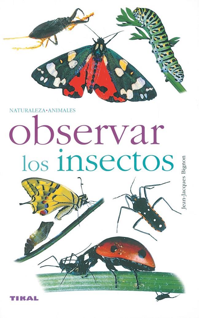 OBSERVAR INSECTOS | 9788430553334 | BIGNON, JEAN-JACQUES | Galatea Llibres | Librería online de Reus, Tarragona | Comprar libros en catalán y castellano online