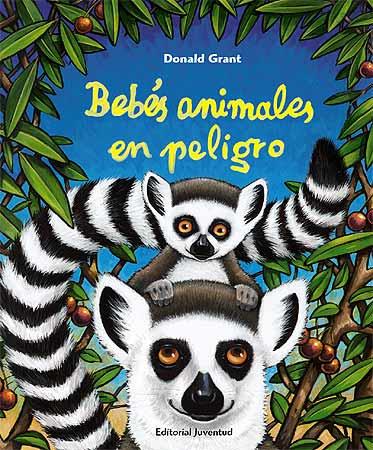 BEBES ANIMALES EN PELIGRO | 9788426137791 | GRANT, DONALD | Galatea Llibres | Llibreria online de Reus, Tarragona | Comprar llibres en català i castellà online