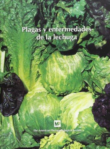 PLAGAS Y ENFERMEDADES DE LA LECHUGA | 9788484760511 | DAVIS, R. Y OTROS | Galatea Llibres | Llibreria online de Reus, Tarragona | Comprar llibres en català i castellà online