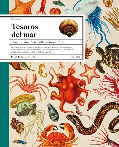 TESOROS DEL MAR | 9788419095749 | MARGARIT, NÚRIA | Galatea Llibres | Librería online de Reus, Tarragona | Comprar libros en catalán y castellano online