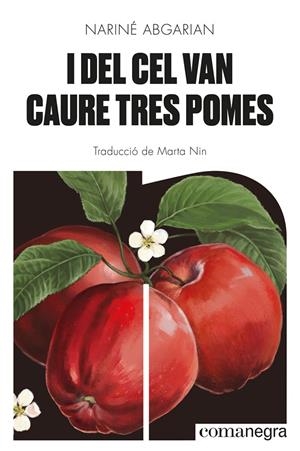 I DEL CEL VAN CAURE TRES POMES | 9788418857041 | ABGARIAN, NARINÉ | Galatea Llibres | Llibreria online de Reus, Tarragona | Comprar llibres en català i castellà online