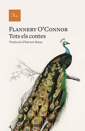 TOTS ELS CONTES | 9788419657879 | O'CONNOR, FLANNERY | Galatea Llibres | Llibreria online de Reus, Tarragona | Comprar llibres en català i castellà online